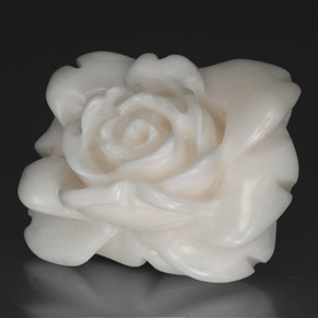 Coral Blanco natural de 27.83 ct, Forma elegante, Opaco