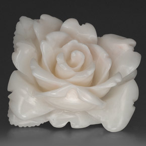 Coral blanco natural de 18,84 ct, forma elegante, opaco