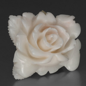 Coral blanco natural de 18,84 ct, forma elegante, opaco