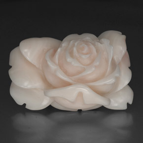 Coral Blanco salmón natural de 40.97 ct, Forma elegante, Opaco