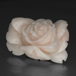 Coral Blanco salmón natural de 40.97 ct, Forma elegante, Opaco