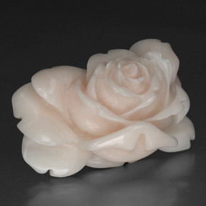 Coral Blanco salmón natural de 40.97 ct, Forma elegante, Opaco