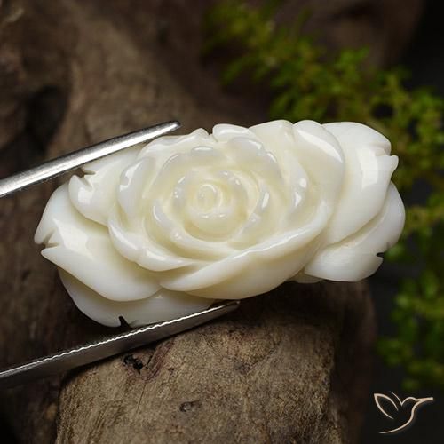 Coral Blanco claro natural de 36.24 ct, Corte Flor, Opaco