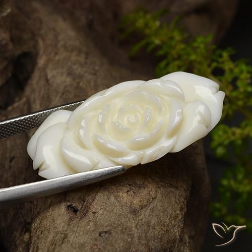 Coral Blanco claro natural de 36.24 ct, Corte Flor, Opaco