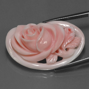 Coral Rosa natural de 28.77 ct, Forma elegante, Opaco