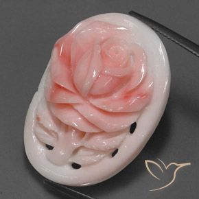 Coral Rosado salmón natural de 28.86 ct, Elegante, Opaco