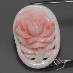 Coral Rosado salmón natural de 28.86 ct, Elegante, Opaco