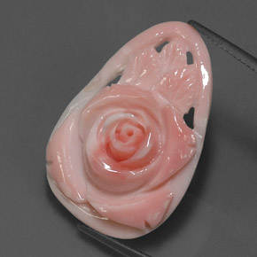 Coral rosa natural de 12,52 ct, forma elegante, opaco