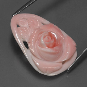 Coral rosa natural de 12,52 ct, forma elegante, opaco