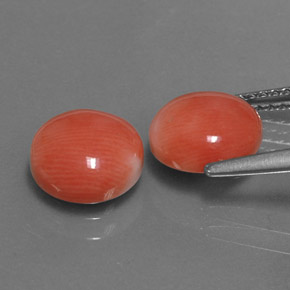 Gemas de Coral Salmon blanco natural de  ct, Corte Redondo, Opaco