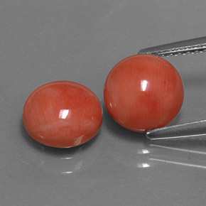 Gemas de Coral Salmon blanco natural de  ct, Corte Redondo, Opaco