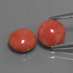 Gemas de coral rosa natural de  ct, corte redondo, opaco