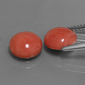 Gemas de coral rosa natural de  ct, corte redondo, opaco