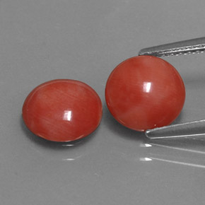 Gemas de coral rosa natural de  ct, corte redondo, opaco