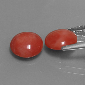 Gemas de coral rosa natural de  ct, corte redondo, opaco
