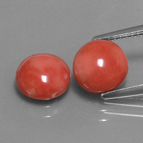 Gemas de Coral Salmon blanco natural de  ct, Corte Redondo, Opaco