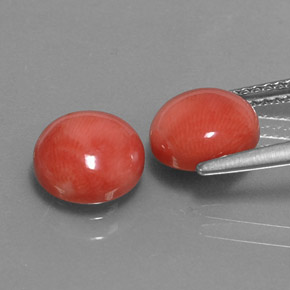 Gemas de Coral Salmon blanco natural de  ct, Corte Redondo, Opaco