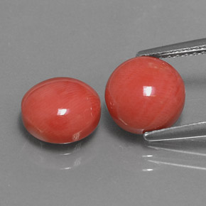 Gemas de coral rosa natural de  ct, corte redondo, opaco