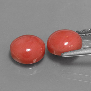 Gemas de coral rosa natural de  ct, corte redondo, opaco