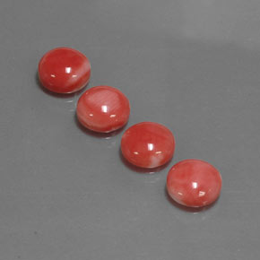Gemas de coral rosa natural de  ct, corte redondo, opaco