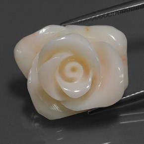 Coral crema natural de 18,54 ct, forma elegante, opaco