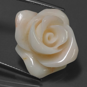 Coral crema natural de 18,54 ct, forma elegante, opaco