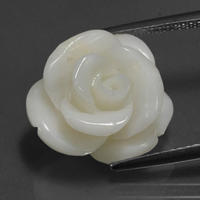 Coral blanco natural de 9,54 ct, forma elegante, opaco