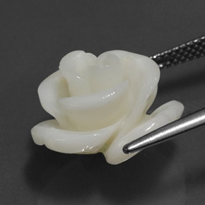 Coral blanco natural de 9,54 ct, forma elegante, opaco