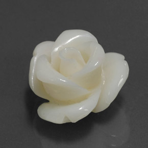 Coral Blanco natural de 8.97 ct, Forma elegante, Opaco