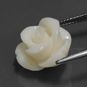 Coral Blanco natural de 8.97 ct, Forma elegante, Opaco