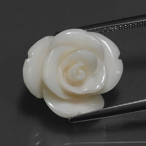 Coral blanco natural de 10,95 ct, forma elegante, opaco