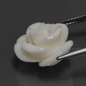 Coral blanco natural de 10,95 ct, forma elegante, opaco