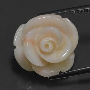 Coral rosa natural de 17,14 ct, forma elegante, opaco