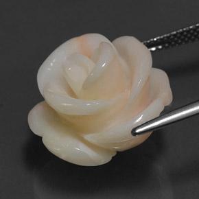 Coral rosa natural de 17,14 ct, forma elegante, opaco