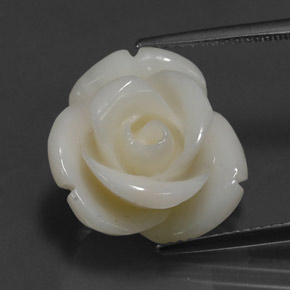 Coral blanco natural de 14,08 ct, forma elegante, opaco