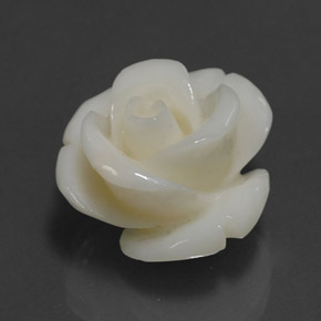 Coral blanco natural de 14,08 ct, forma elegante, opaco