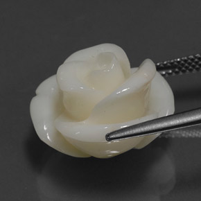 Coral blanco natural de 14,08 ct, forma elegante, opaco