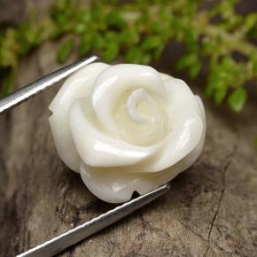 Coral blanco natural de 11,16 ct, corte flor, opaco
