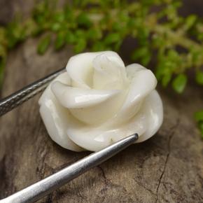 Coral blanco natural de 11,16 ct, corte flor, opaco