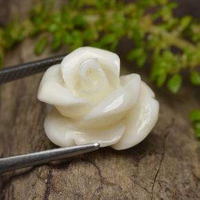 Coral blanco natural de 11,16 ct, corte flor, opaco