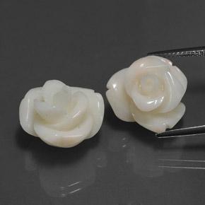 Gemas de coral rosa natural de 25,34 ct, forma elegante, opaco