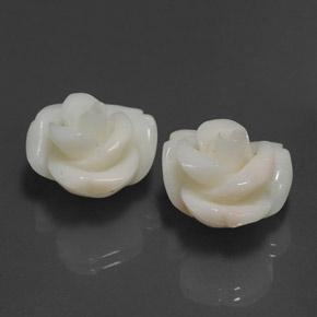 Gemas de coral rosa natural de 25,34 ct, forma elegante, opaco