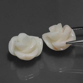 Gemas de coral rosa natural de 25,34 ct, forma elegante, opaco