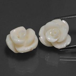 Gemas de coral blanco natural de 21,60 ct, corte flor, opaco