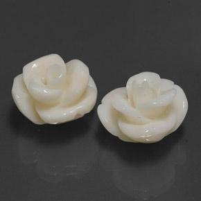 Gemas de coral blanco natural de 21,60 ct, corte flor, opaco