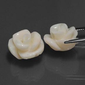 Gemas de coral blanco natural de 21,60 ct, corte flor, opaco