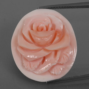 Coral rosa natural de 15,77 ct, forma elegante, opaco