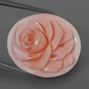 Coral rosa natural de 15,77 ct, forma elegante, opaco