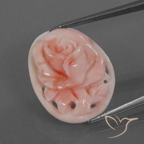 Coral Rosado flamingo natural de 15.39 ct, Elegante, Opaco