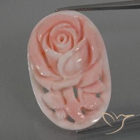 22.80ct Natural Rosado flamingo Coral, Elegante, Opaco